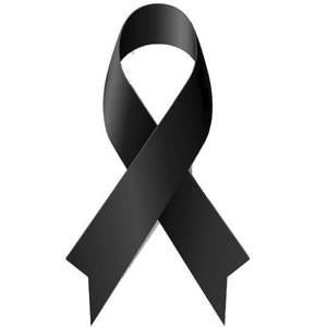 Meet your Posher, Lashh